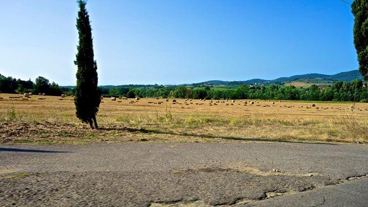 Appartamento Old England In Chianti Montespertoli Bagian luar foto