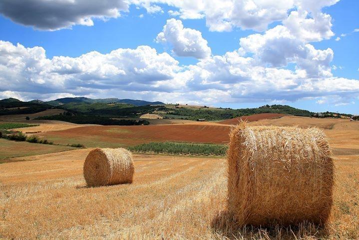 Appartamento Old England In Chianti Montespertoli Bagian luar foto